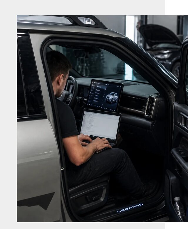 Русификация BYD Leopard 3 в Ростове-на-Доне по цене от 20754 р. | ФастМобиль-Рст